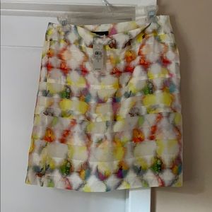 Multi Colored Short Skirt